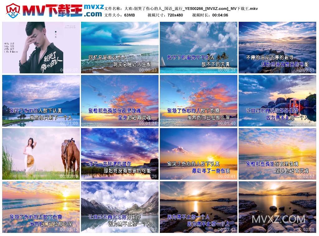 大欢-别哭了伤心的人_国语_流行_YE500266